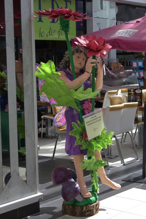Spring Show 2026 Bridge Inn Community Farm Flower Fairy